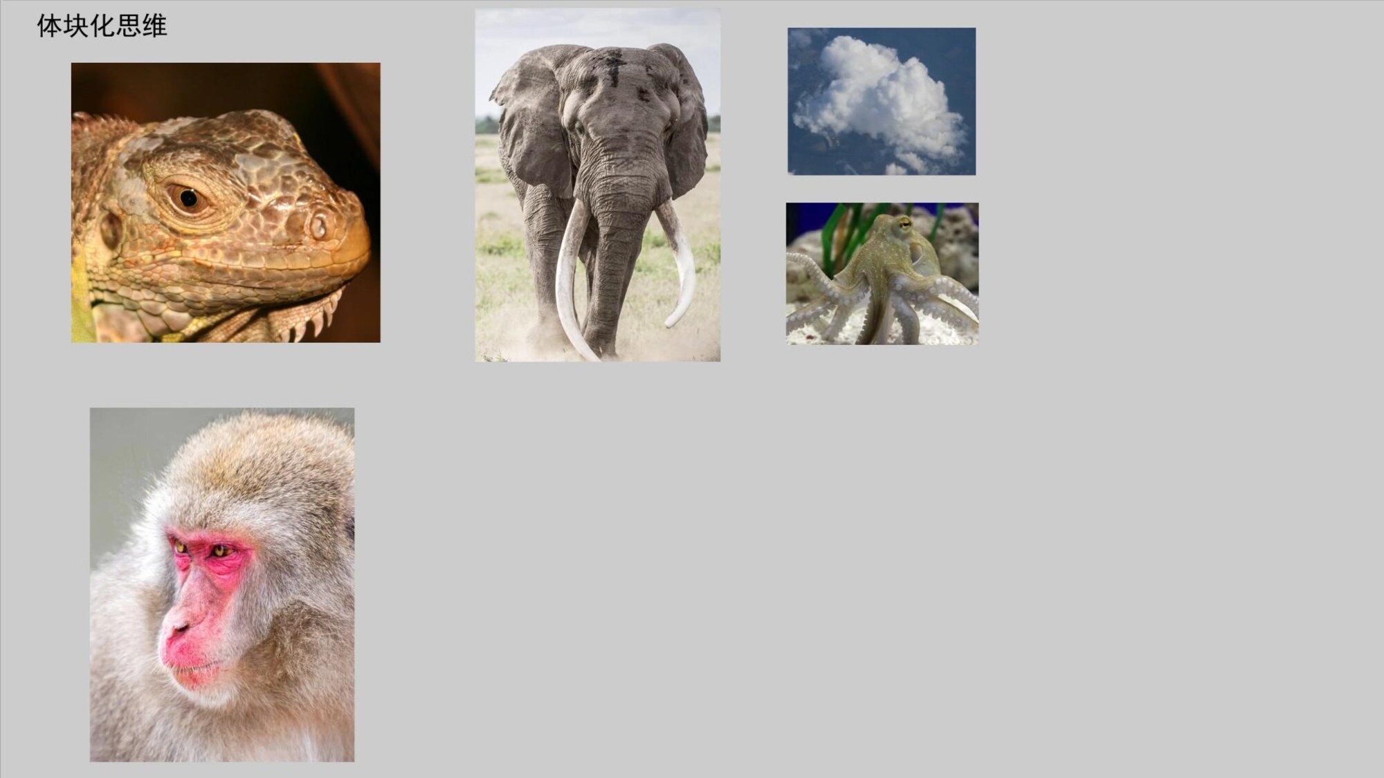 风格化造型体块理论